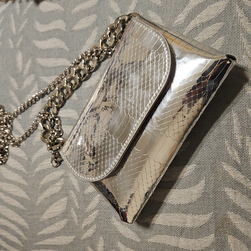 Chrome Crossbody/Beltbag (Aldo)